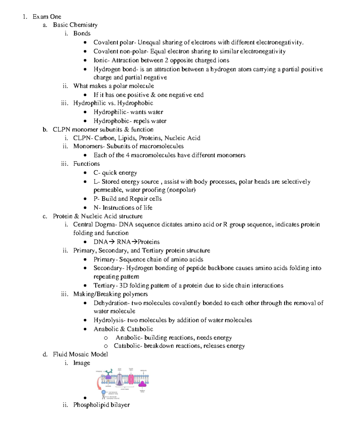Bio Final Exam Cheat Sheet - Exam One a. Basic Chemistry i. Bonds ...