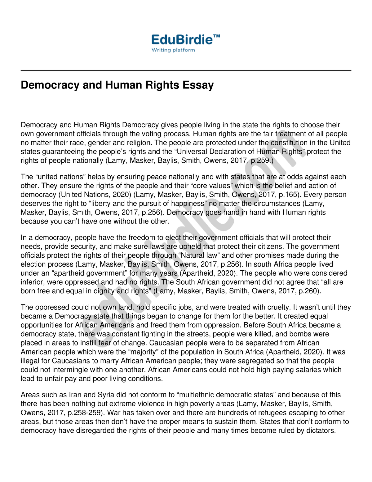 democracy and human rights essay pdf