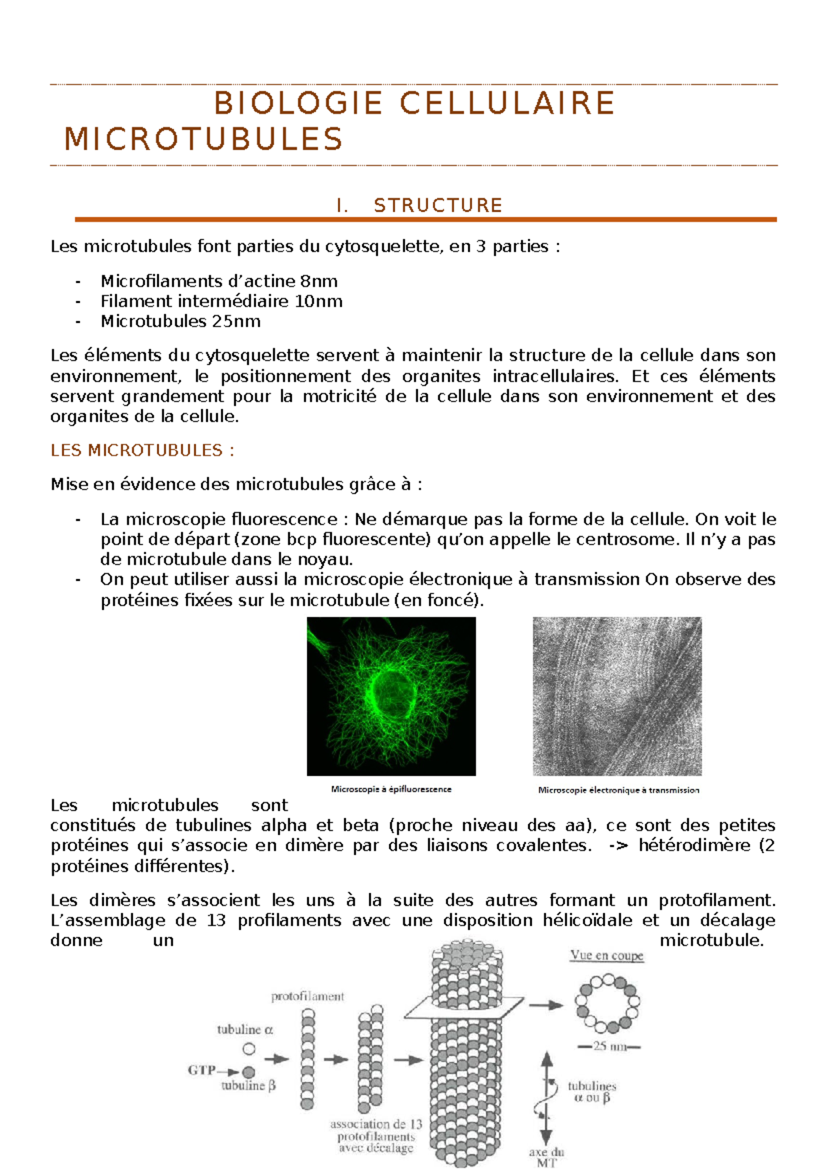 9. microtubules note de biologie cellulaire B I O LO G I E C E L LU L A I R E M I C R O T U