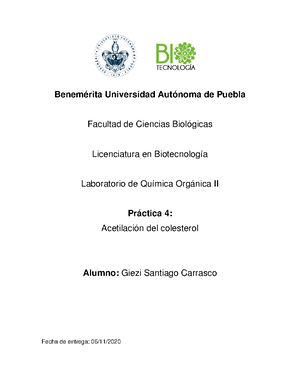 Sintesis Bromuro N-butilo - BENEMÉRITA UNIVERSIDAD AUTÓNOMA DE PUEBLA ...