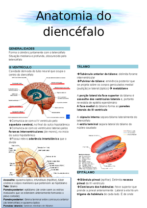 Formação reticular - Neuroanatomia - RESUMO – NEUROANATOMIA **Baseado ...