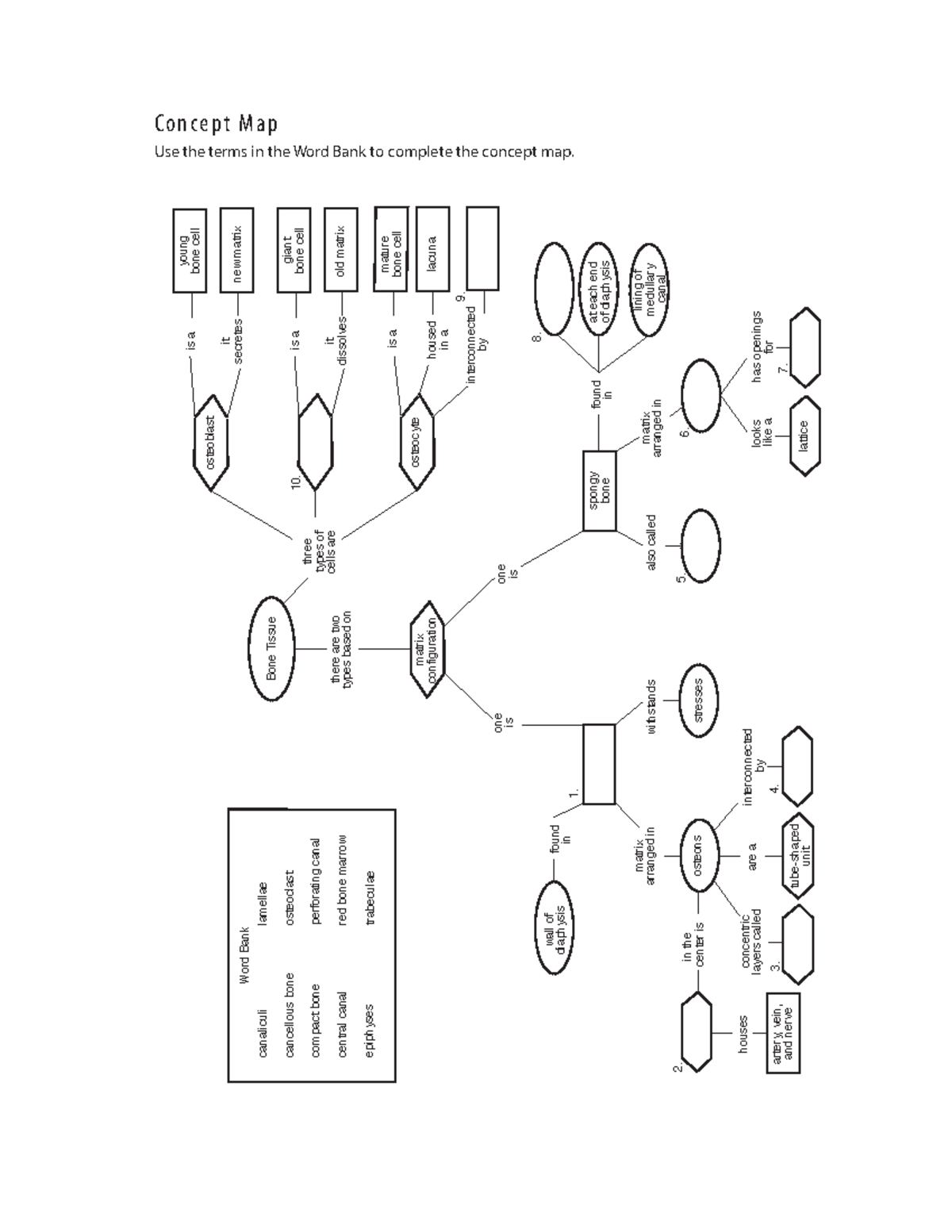 chapter-7-concept-map-c-o-n-c-e-p-t-m-a-p-use-the-terms-in-the-word