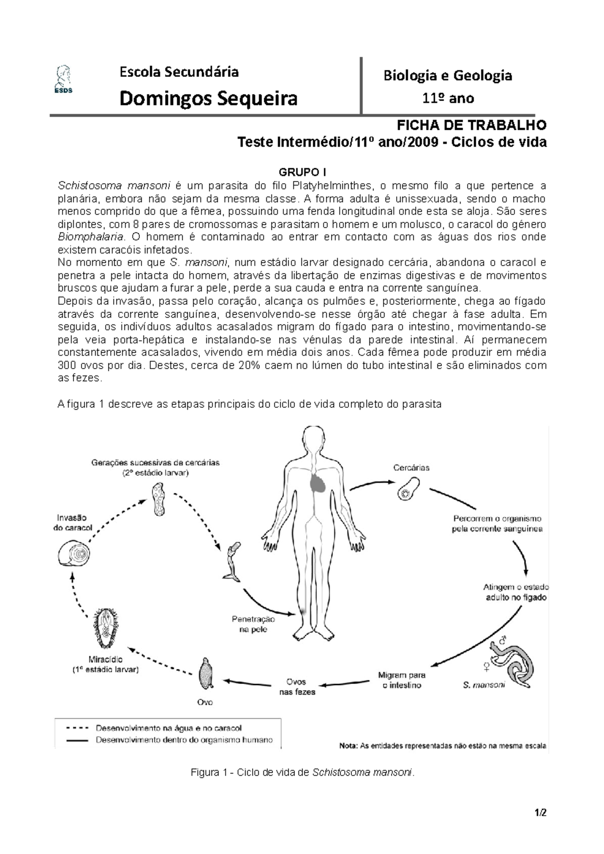 Resumos Biologia 11º Ano, Espero Que Ajude No Seu Estudo - Escola ...