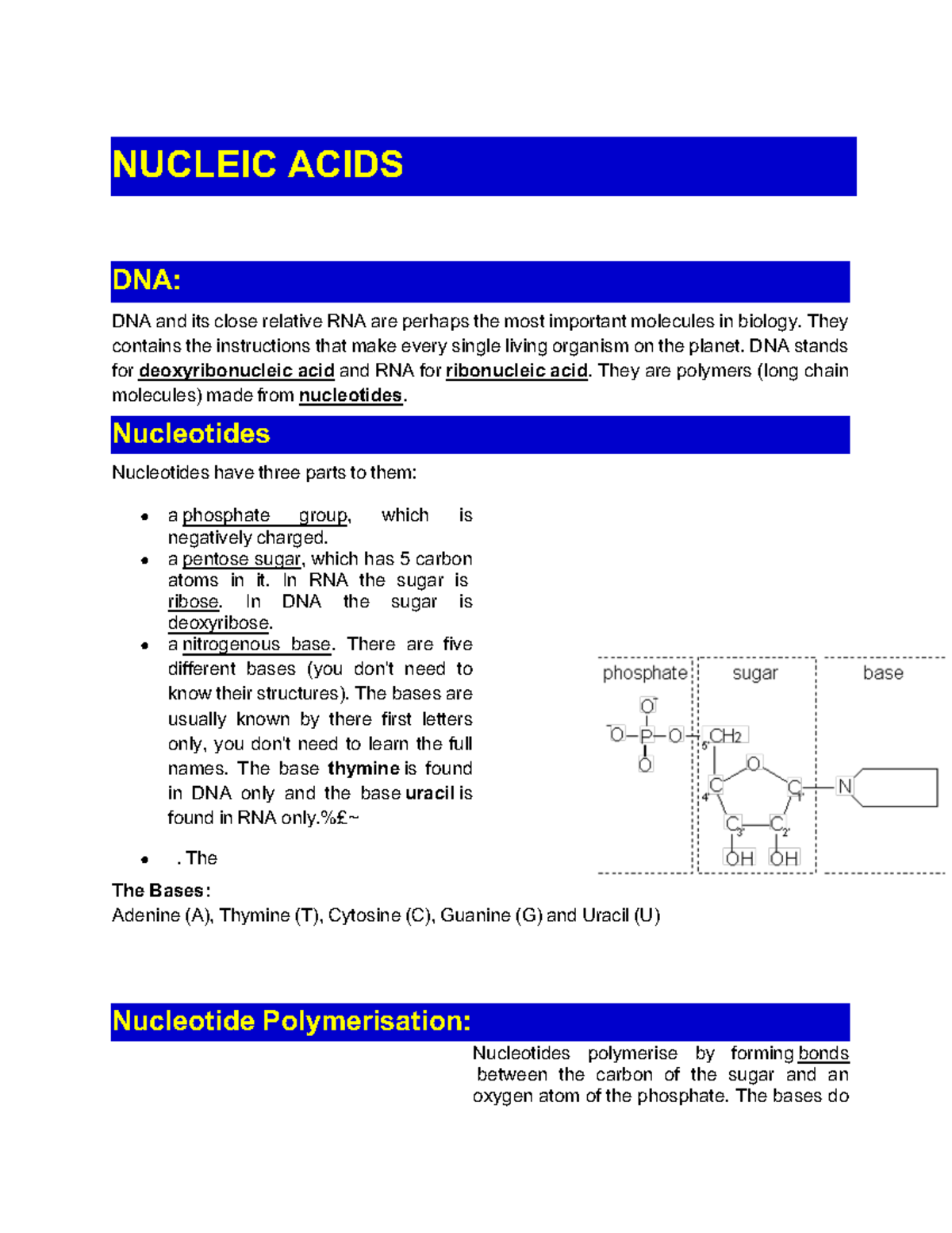 Nucleic Acid, DNA Replication and Protein Synthesis NUCLEIC ACIDS DNA