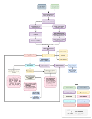 Nursing CARE PLAN FOR Hypertension - NURSING CARE PLAN FOR HYPERTENSION ...