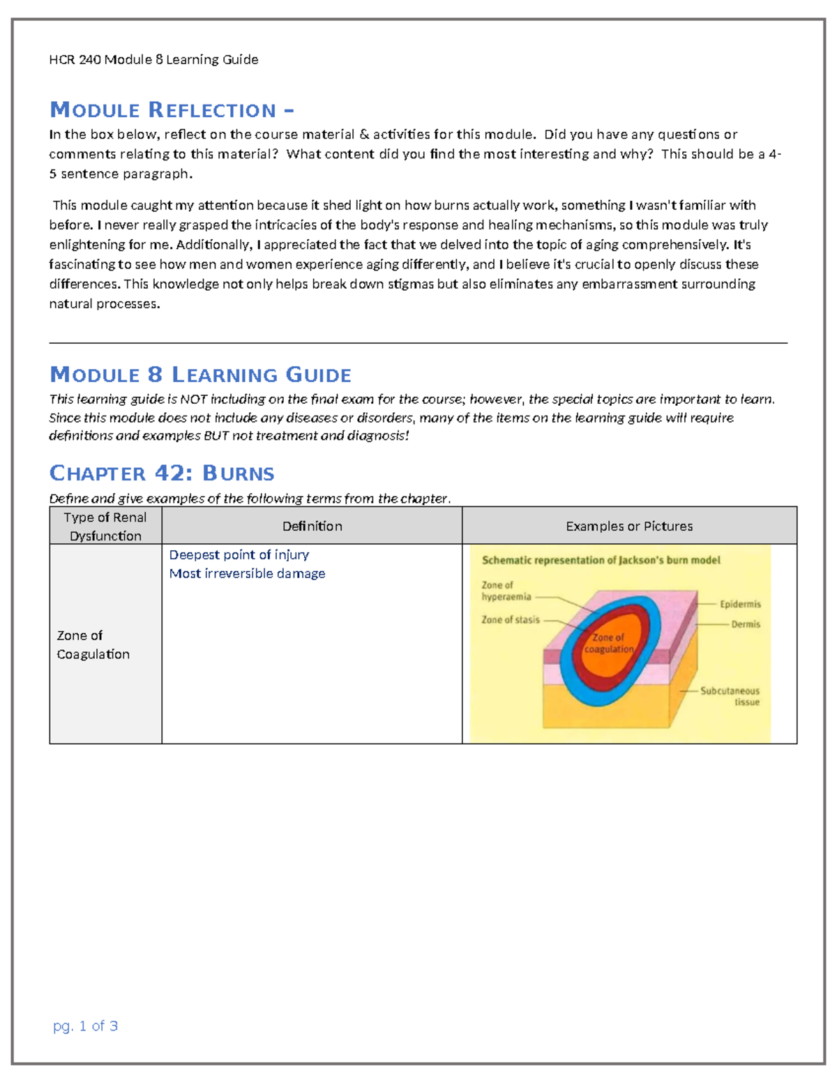 HCR 240 Module 8 Learning Guide - MODULE REFLECTION – In The Box Below ...