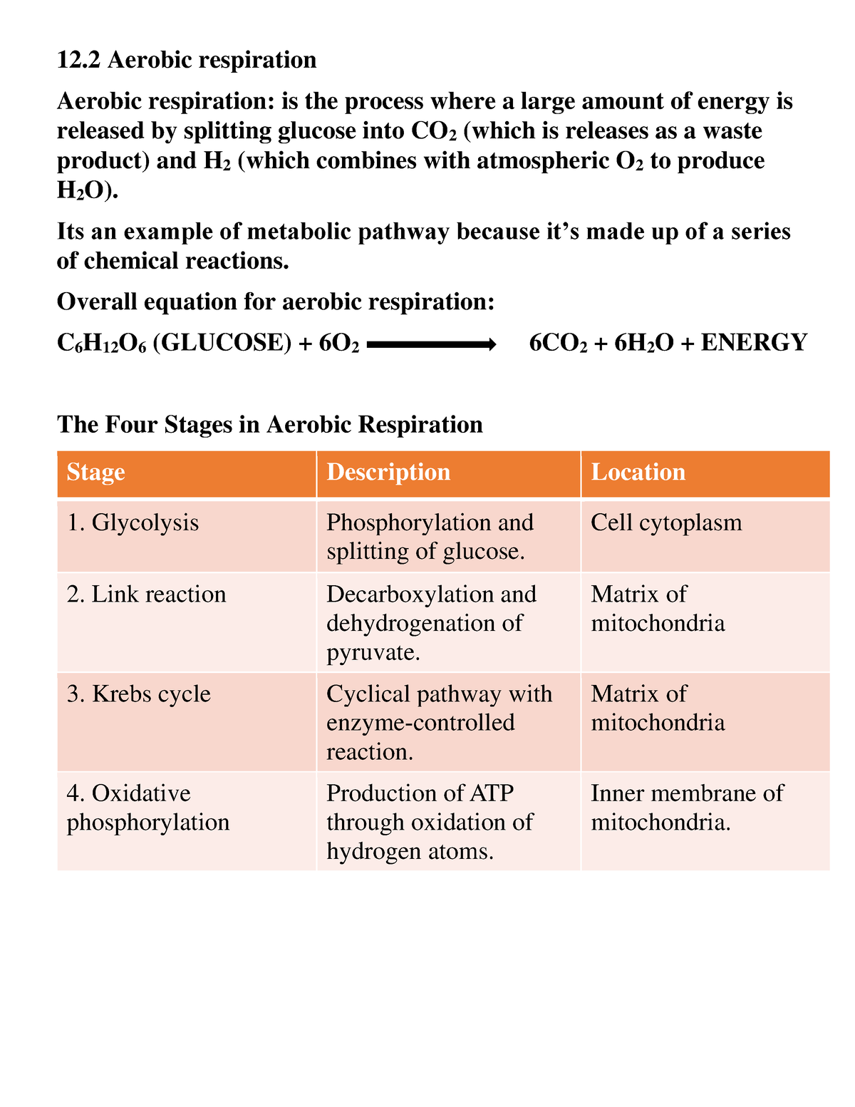 aerobic respiration essay writing