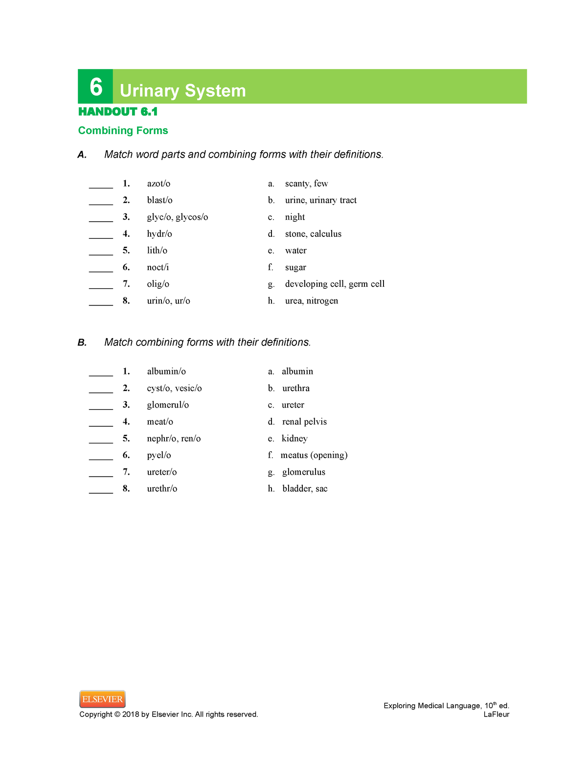 chapter-006-jbwojdb-6-urinary-system-handout-6-1-combining-forms-a
