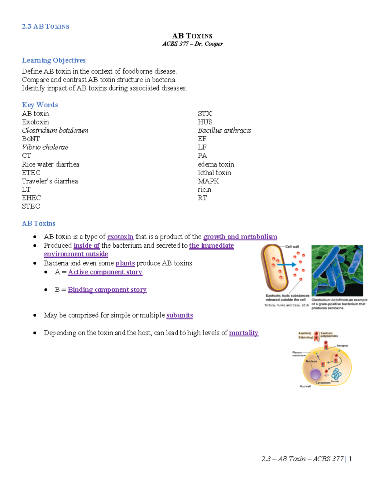 2.3 AB Toxins Margarethe Cooper AB TOXINS ACBS 377 Dr. Cooper