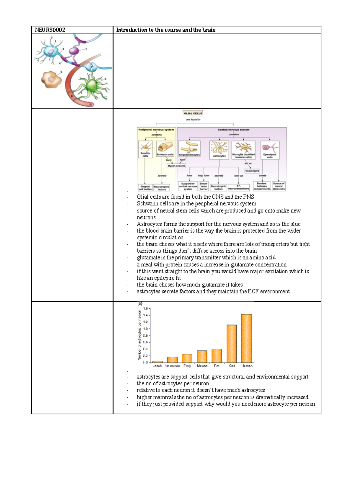 Lecture notes, lectures 1 - 5 - NEUR30002 Introduction to the course ...