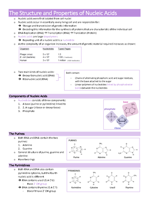 BIOC2201 Practical 1 Week 3 Student Notes - PRACTICAL 1 NUCLEIC ACID ...