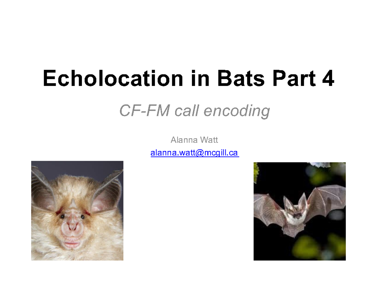L23 l23 Echolocation in Bats Part 4 CFFM call encoding Alanna Watt