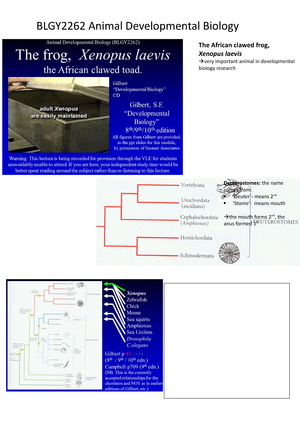 Animal Developmental Biology Lecture Notes Lecture 2 Studocu