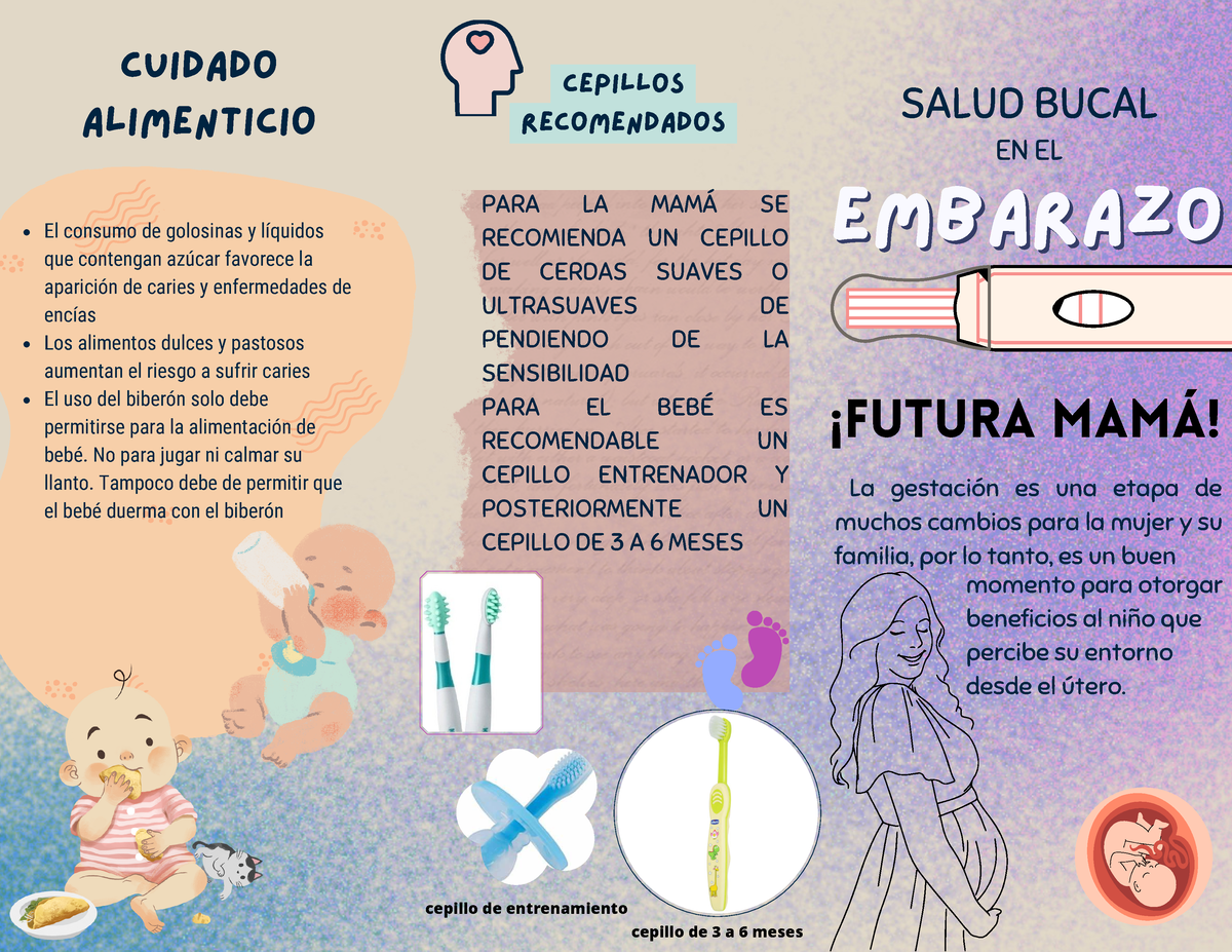 Triptico Salud En El Embarazo Embarazoembarazo Salud Bucal En El Cepillos Recomendados El 2370