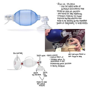 Oxygen Therapy System - RESC 1501 - Studocu