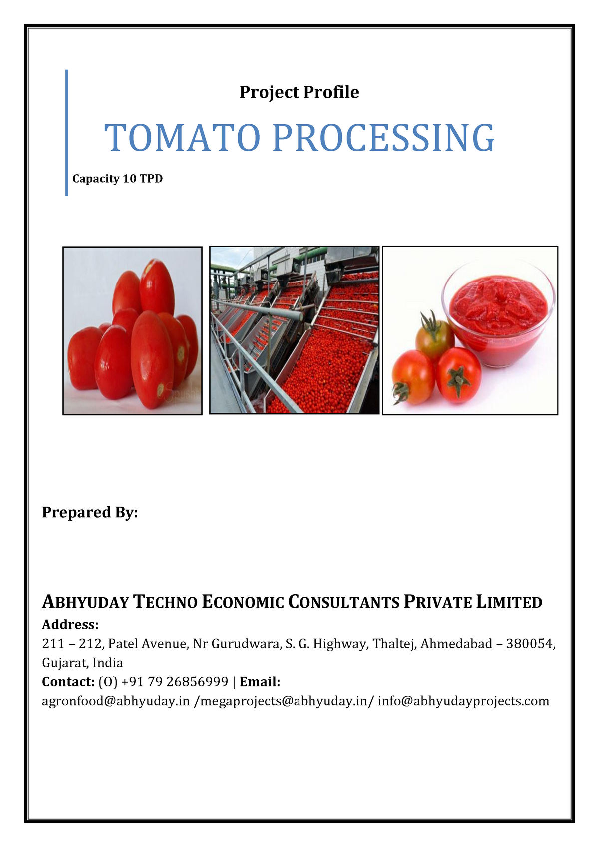 process essay tomato