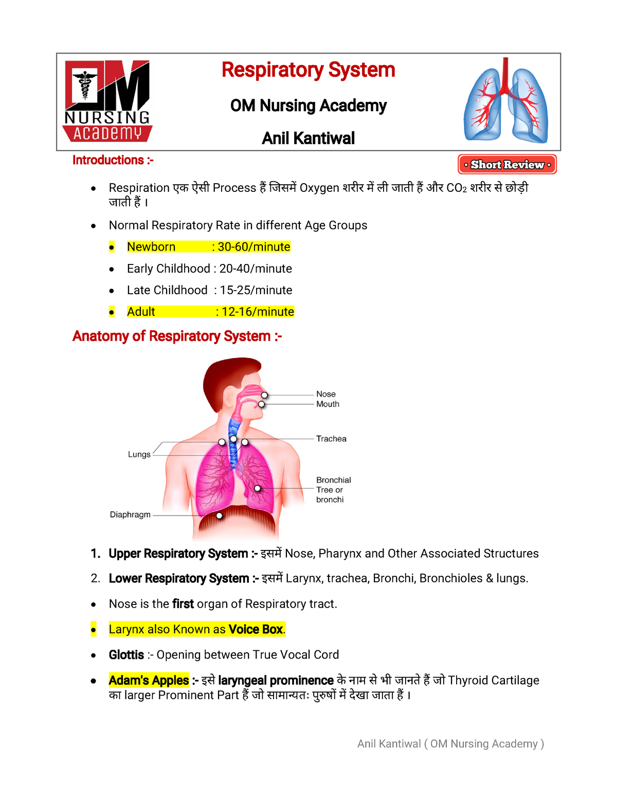 respiratory system short essay