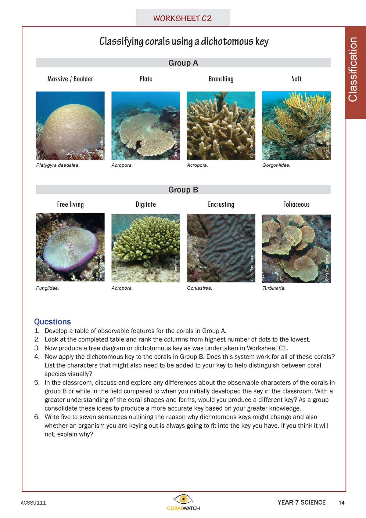 C2 Classifying-corals Coral Watch Yr7Science Classification - YEAR 7 ...