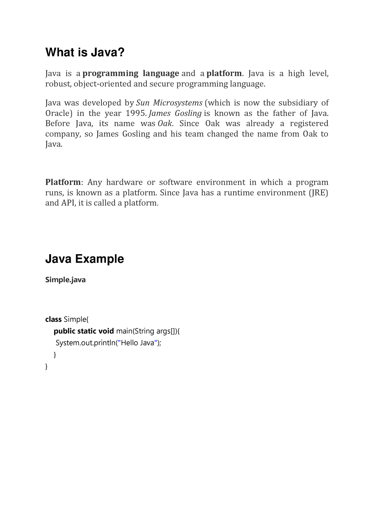 essay on java programming language