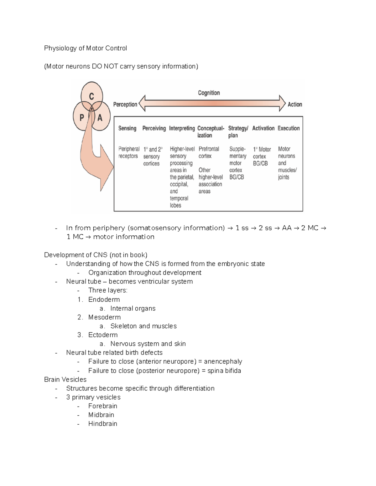 Physiology of Motor Control (Pt. 1) Physiology of Motor Control (Motor neurons DO NOT carry