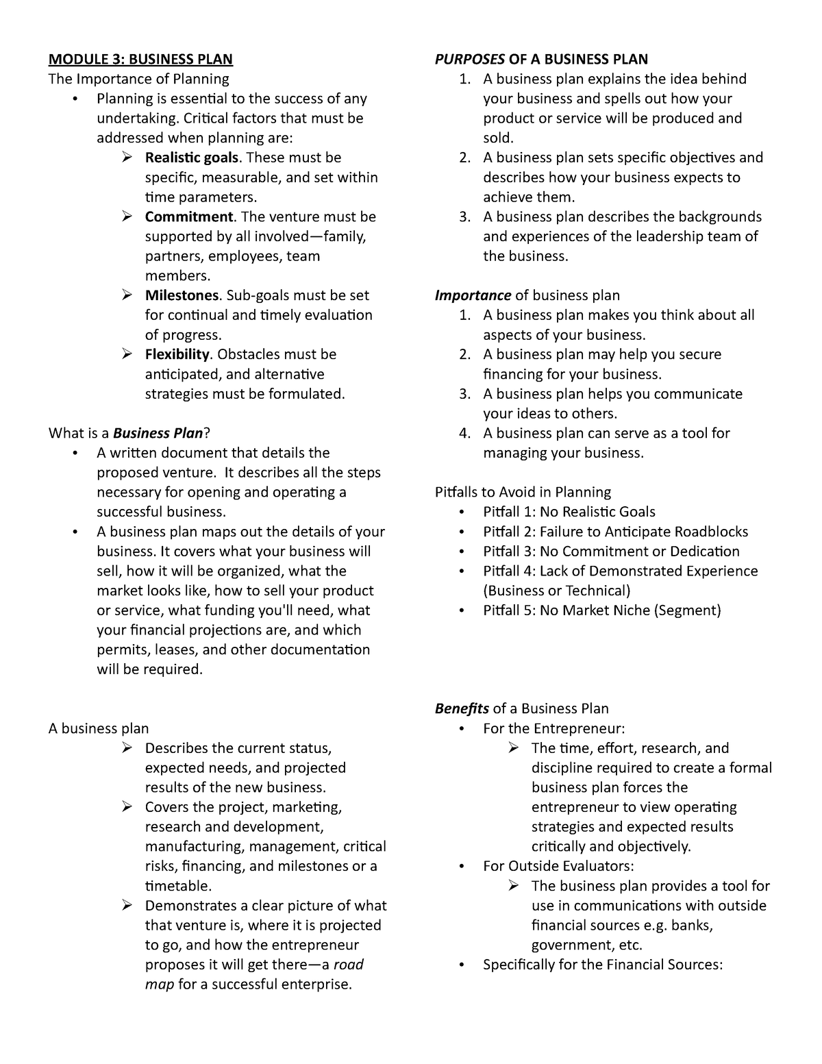 module 3 business plan