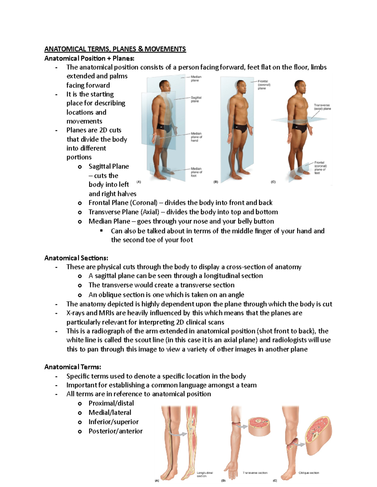 Anatomy - Anatomical Terms, Planes and Movements and Bones - ANATOMICAL ...