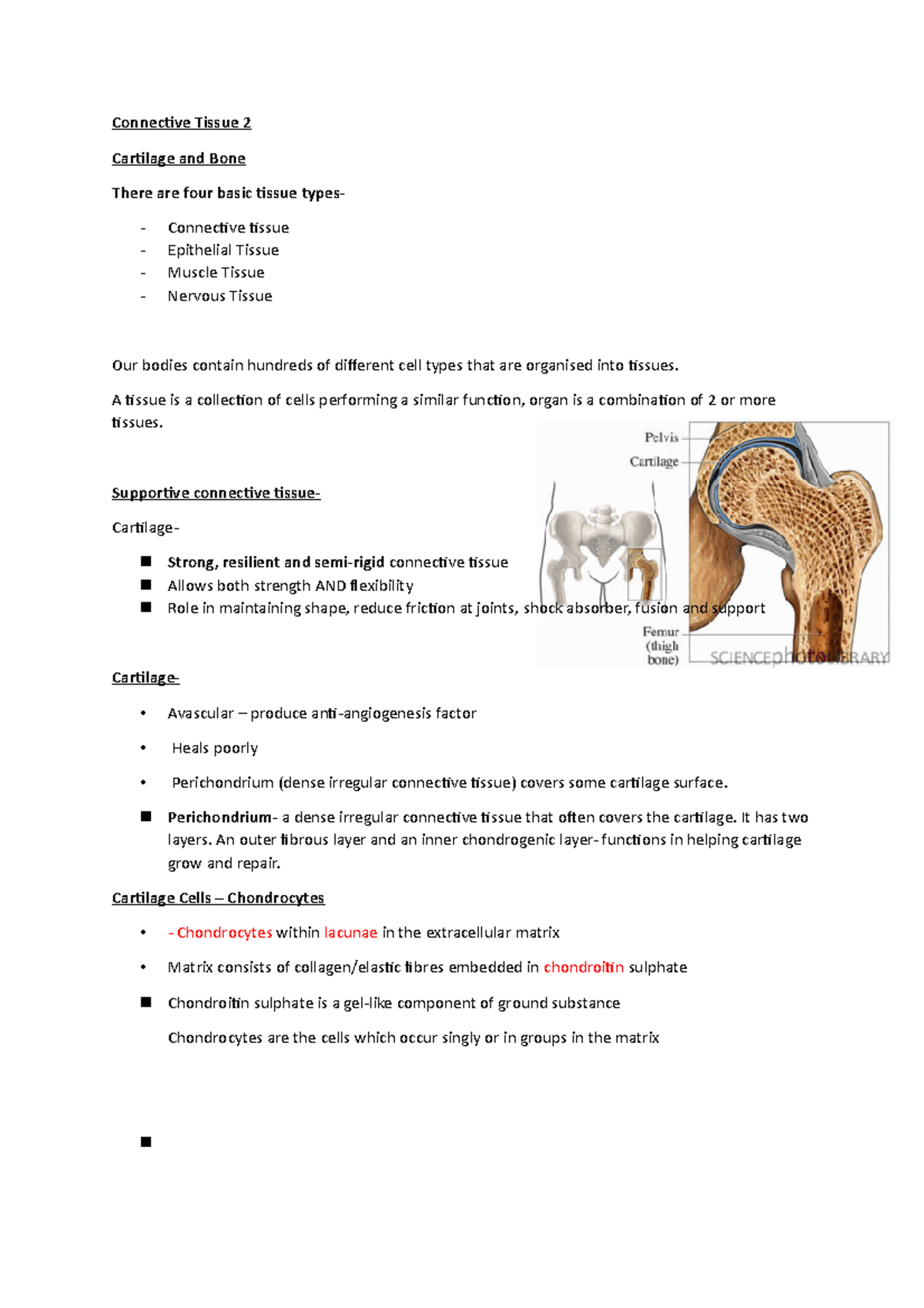 Bio Note 21 - Lecture notes 3-6 - Connective Tissue 2 Cartilage and ...