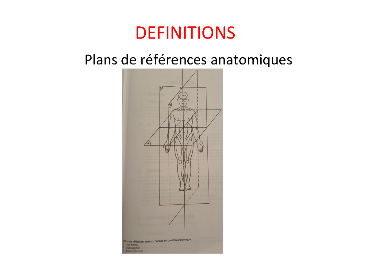 Cours Et Schémas D'anatomie De L1 - DEFINITIONS Plans De Références ...