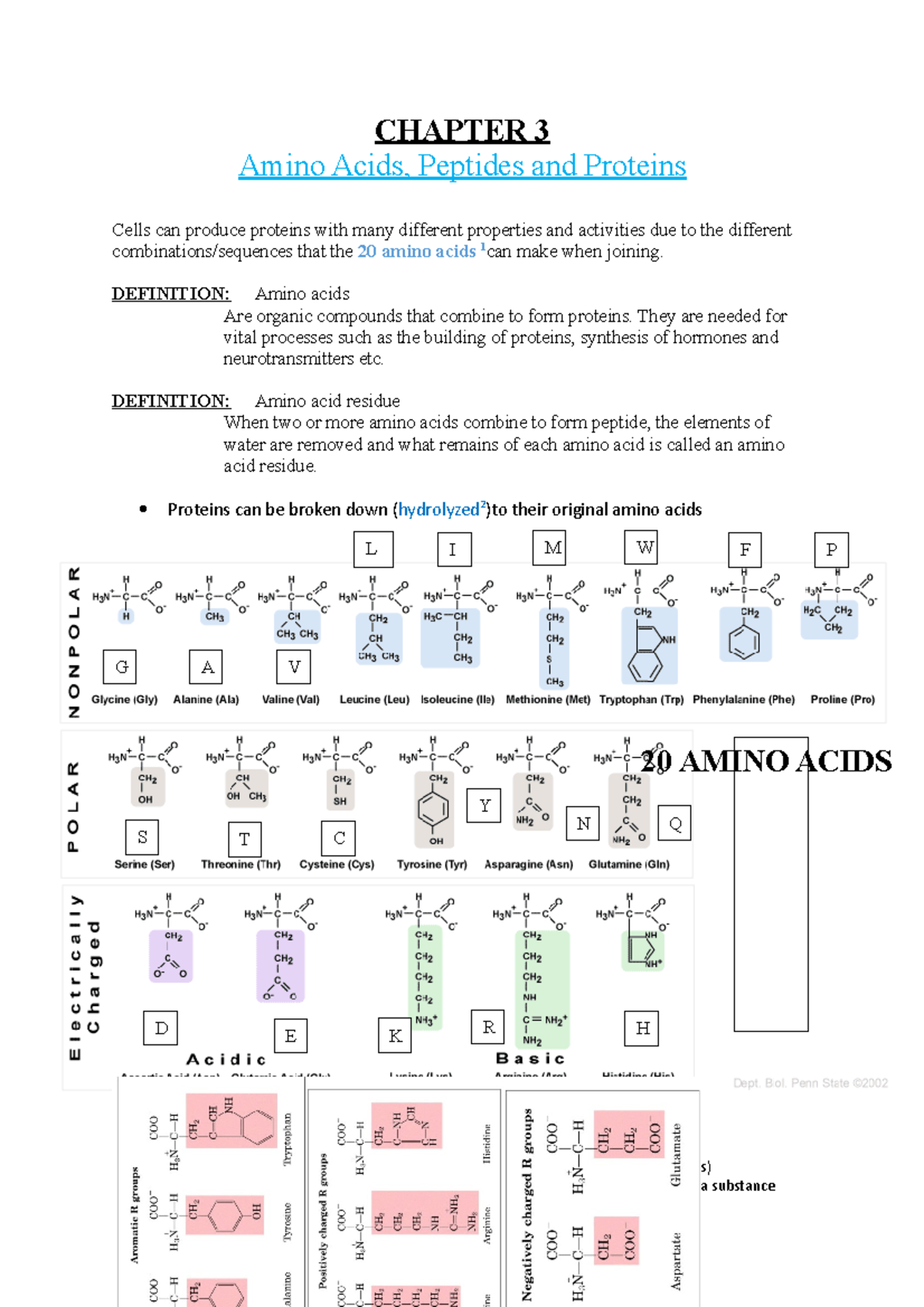 Chapter 3 BCM 251 Summary - CHAPTER 3 Amino Acids, Peptides and ...