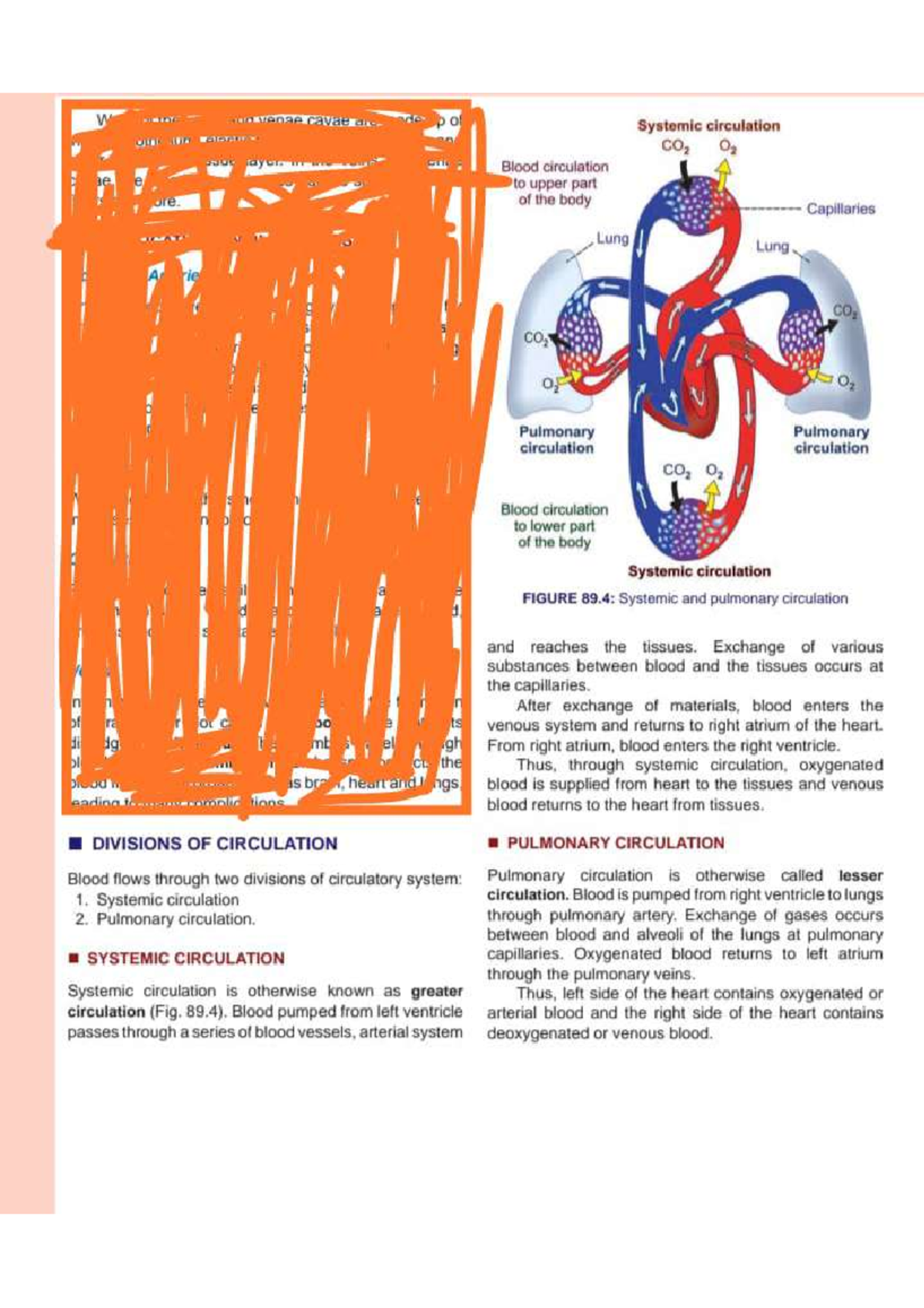 IMG 20230131 173700 - Circulation - Bsc nursing - Studocu