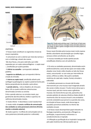 Aula Exame F Sico Resumo A Partir De Semiologia M Dica Celmo Porto Exame Uma Boa Exige O