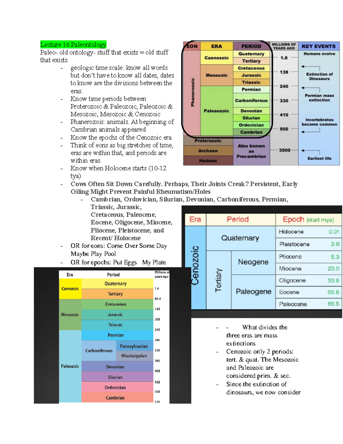 Lecture 16 Paleontology Lecture 16 Paleontology Paleo old ontology