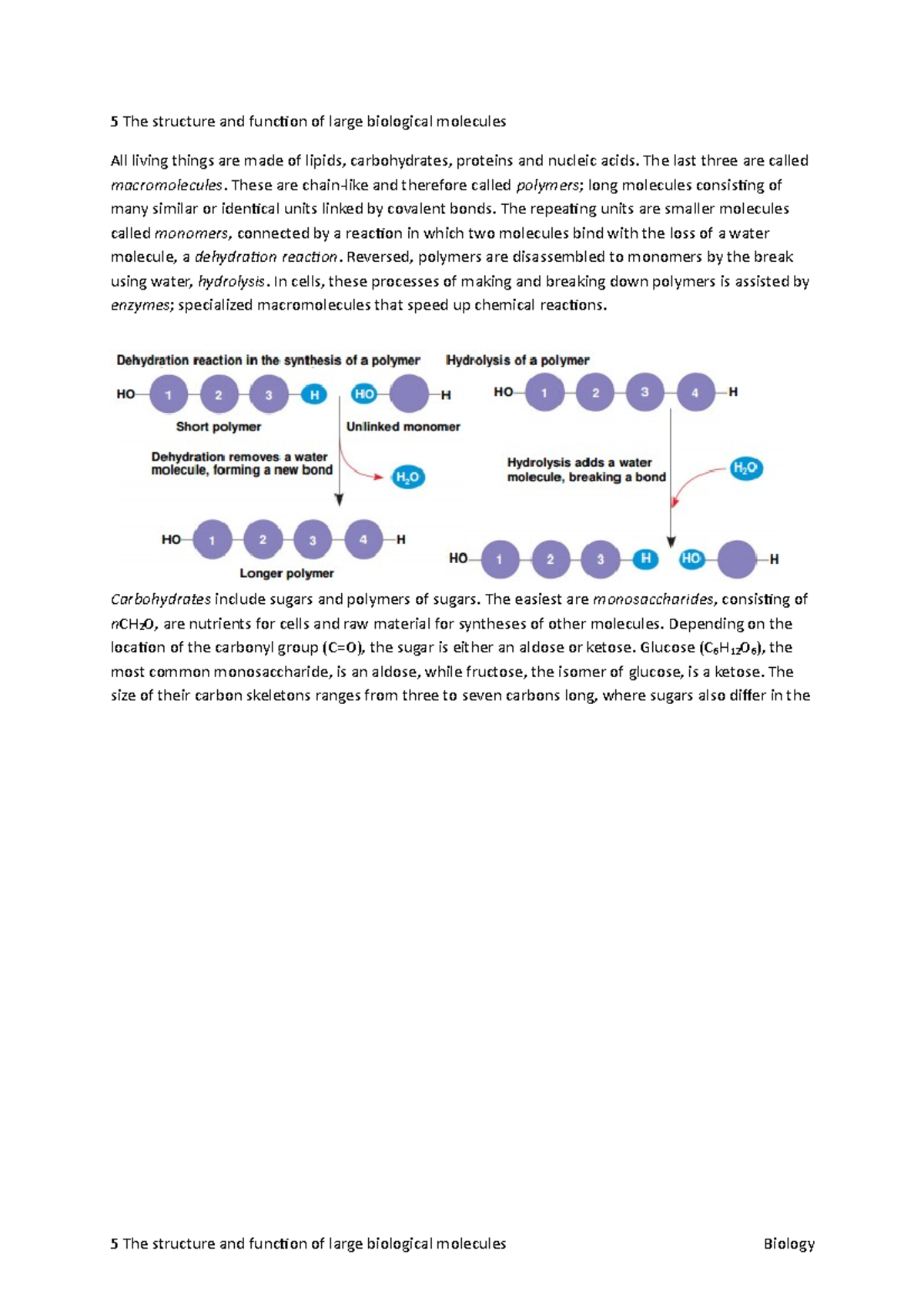5 The structure and function of large biological molecules - The last ...
