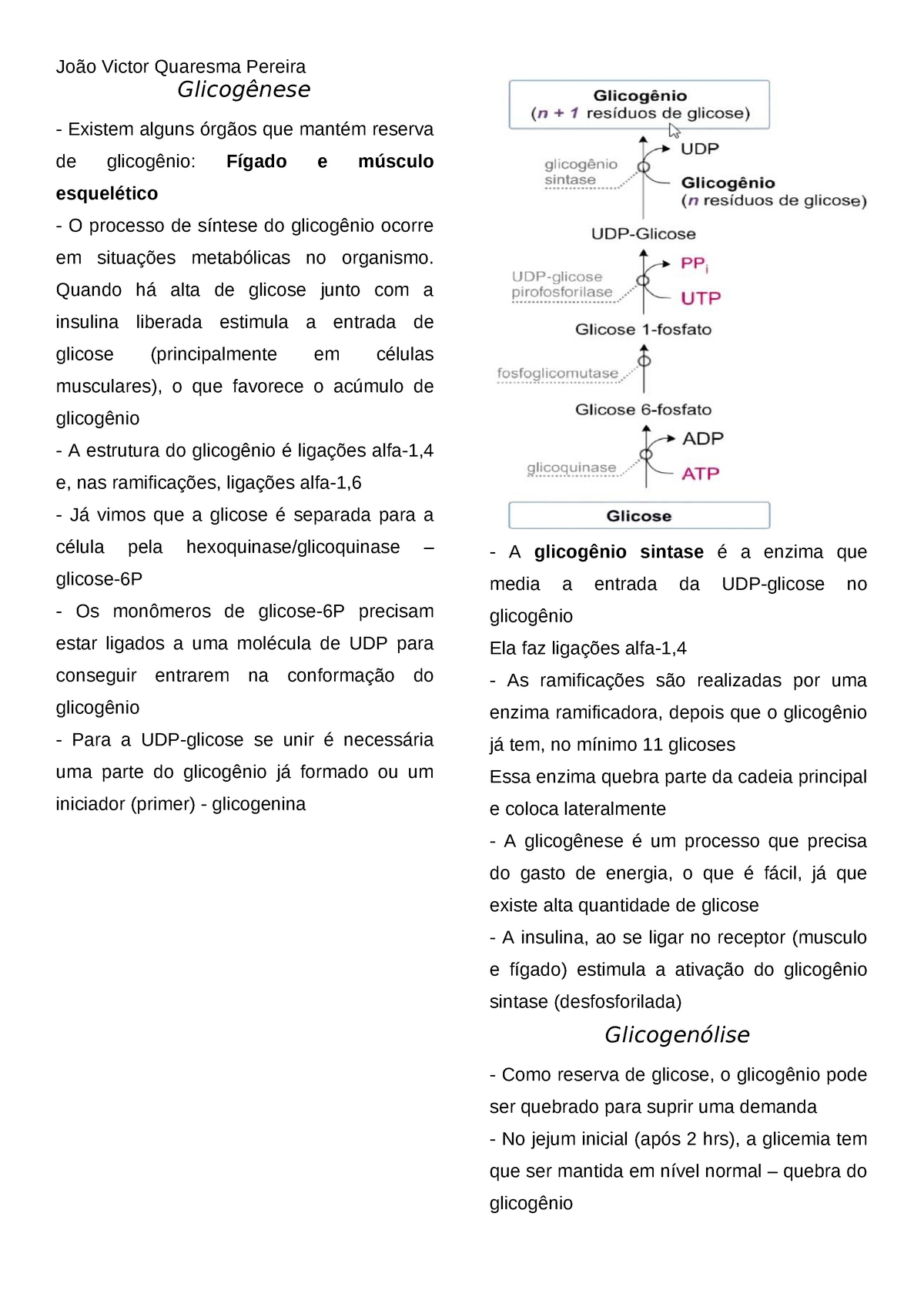 7 - Metabolismo Da Glicose - Glicogênese E Glicogenólise - João Victor ...