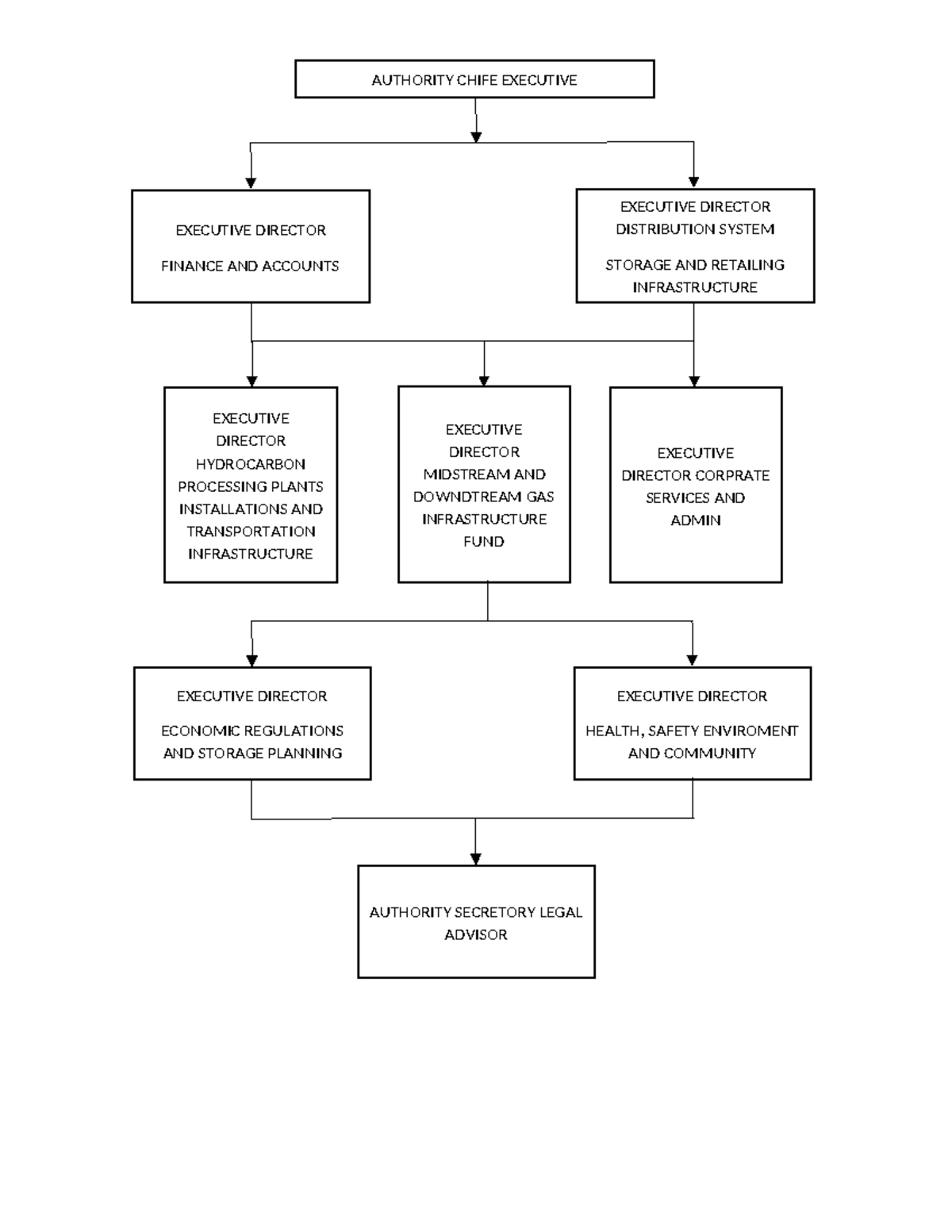 Organiztional structure - AUTHORITY CHIFE EXECUTIVE EXECUTIVE DIRECTOR ...