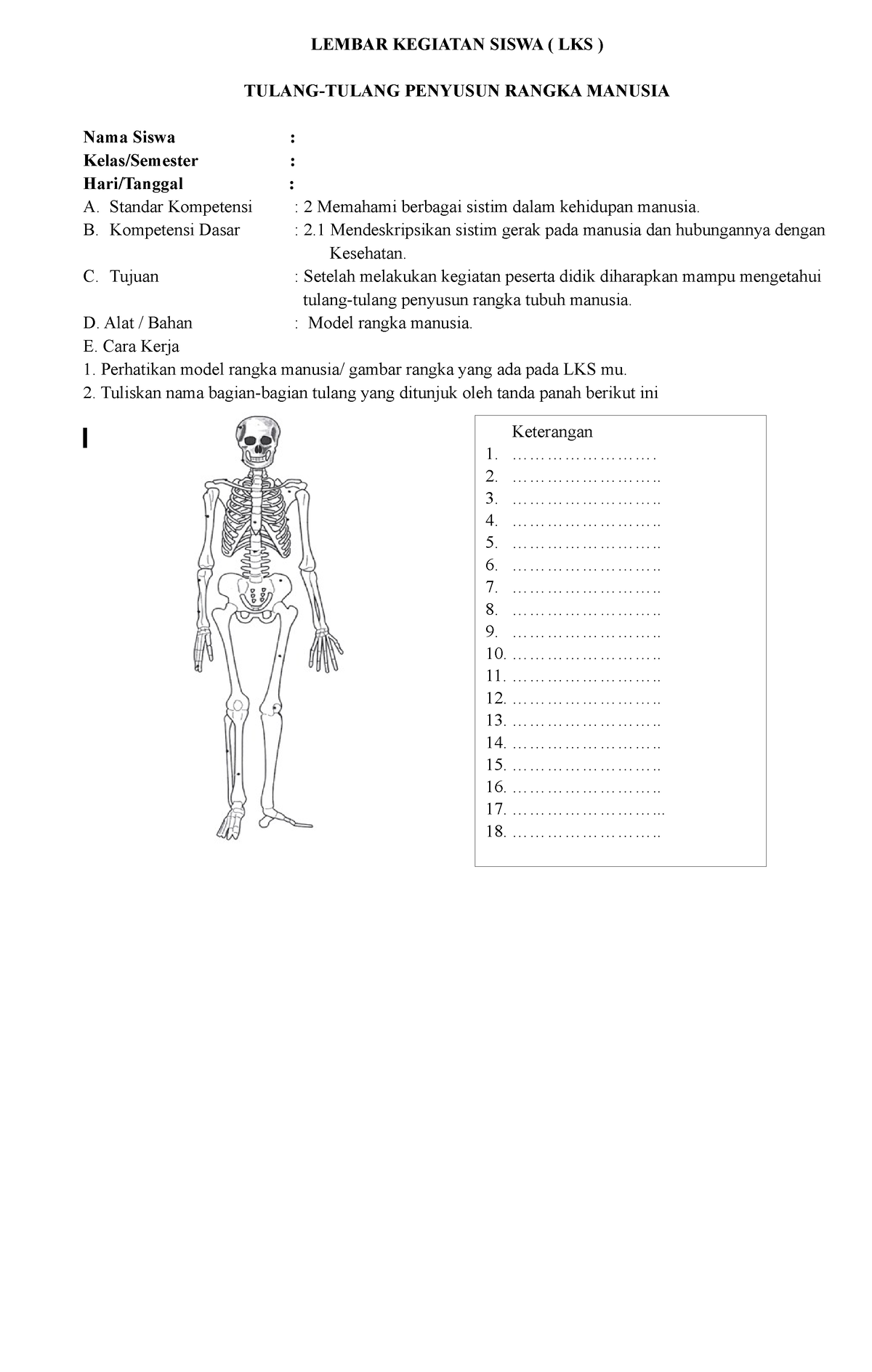 Lks Sistem Gerak Manusia Lembar Kegiatan Siswa Lks Tulang Tulang