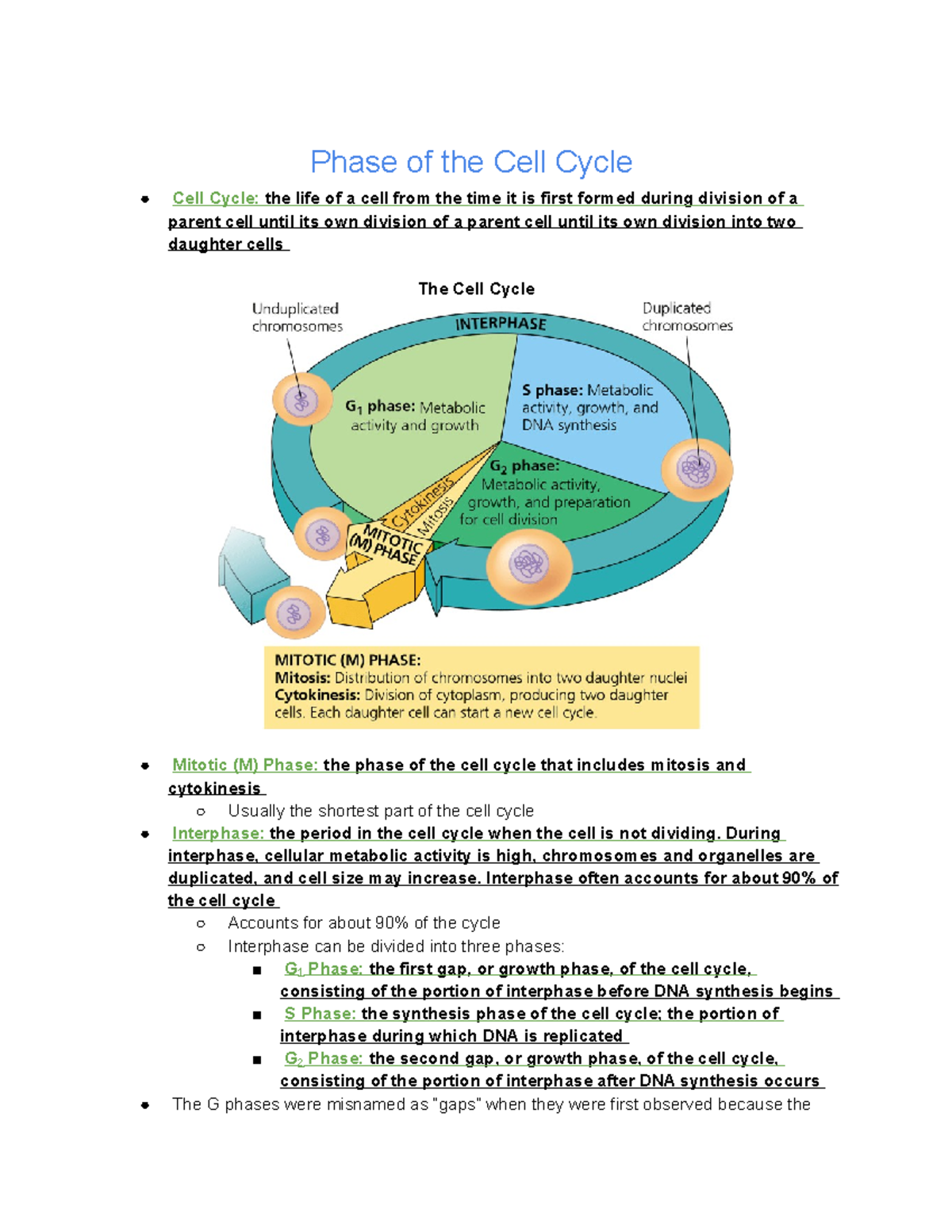 12-2-the-mitotic-phase-alternates-with-interphase-in-teh-cell-cycle