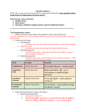 BSCI 201 Lab Practical 1 Review Sheet - 4. Label The Surface Anatomical ...