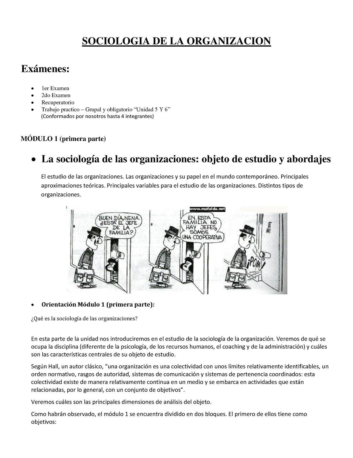 Resumen - Sociologia De La Organizacion - SOCIOLOGIA DE LA ORGANIZACION ...