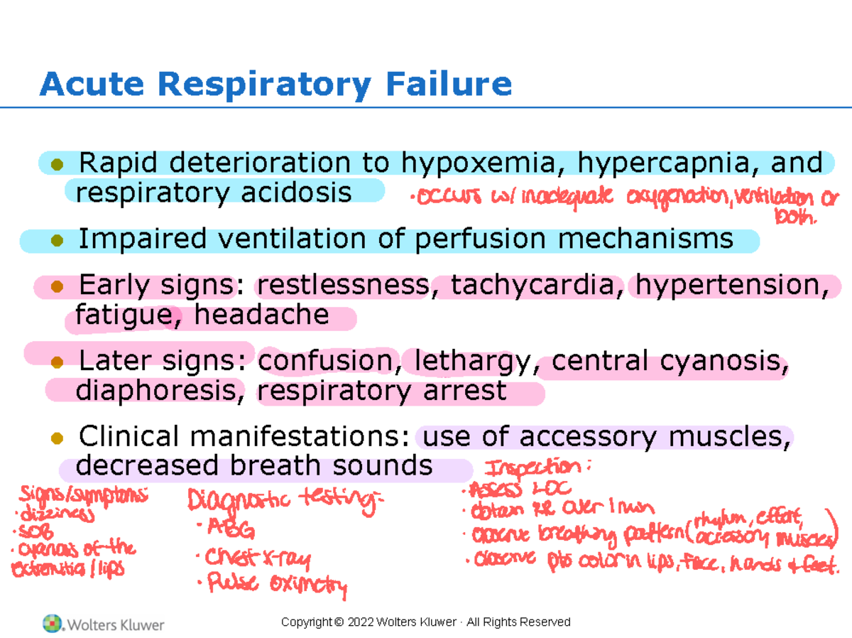 NUR256 Med Surg 1 (CH 19 - Lecture notes for fundamentals of nursing ...