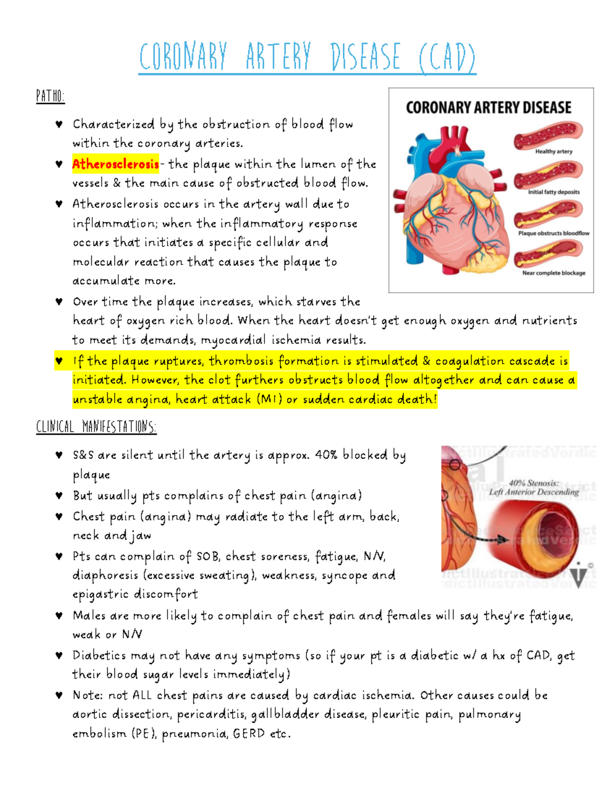 Coronary artery Disease study sheet - Coronary artery Disease (CAD ...