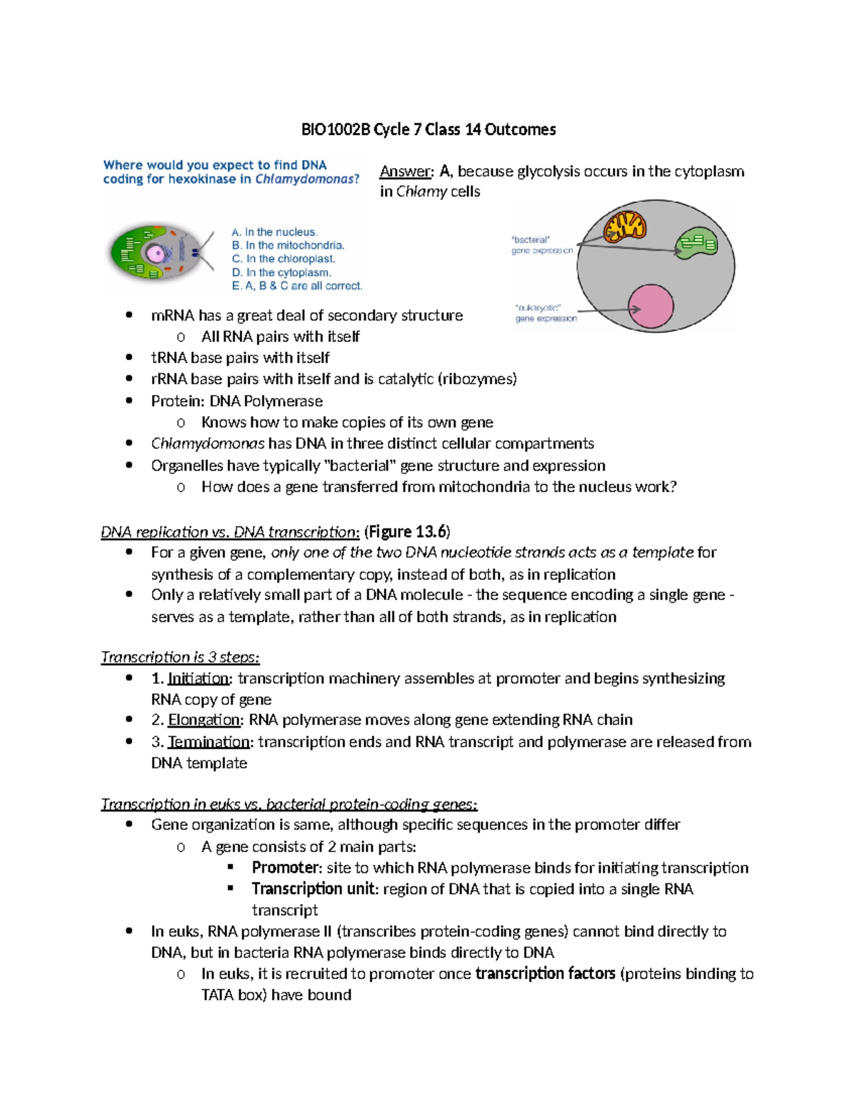 BIO1002B - notes - BIO 22900 - CCNY - StuDocu