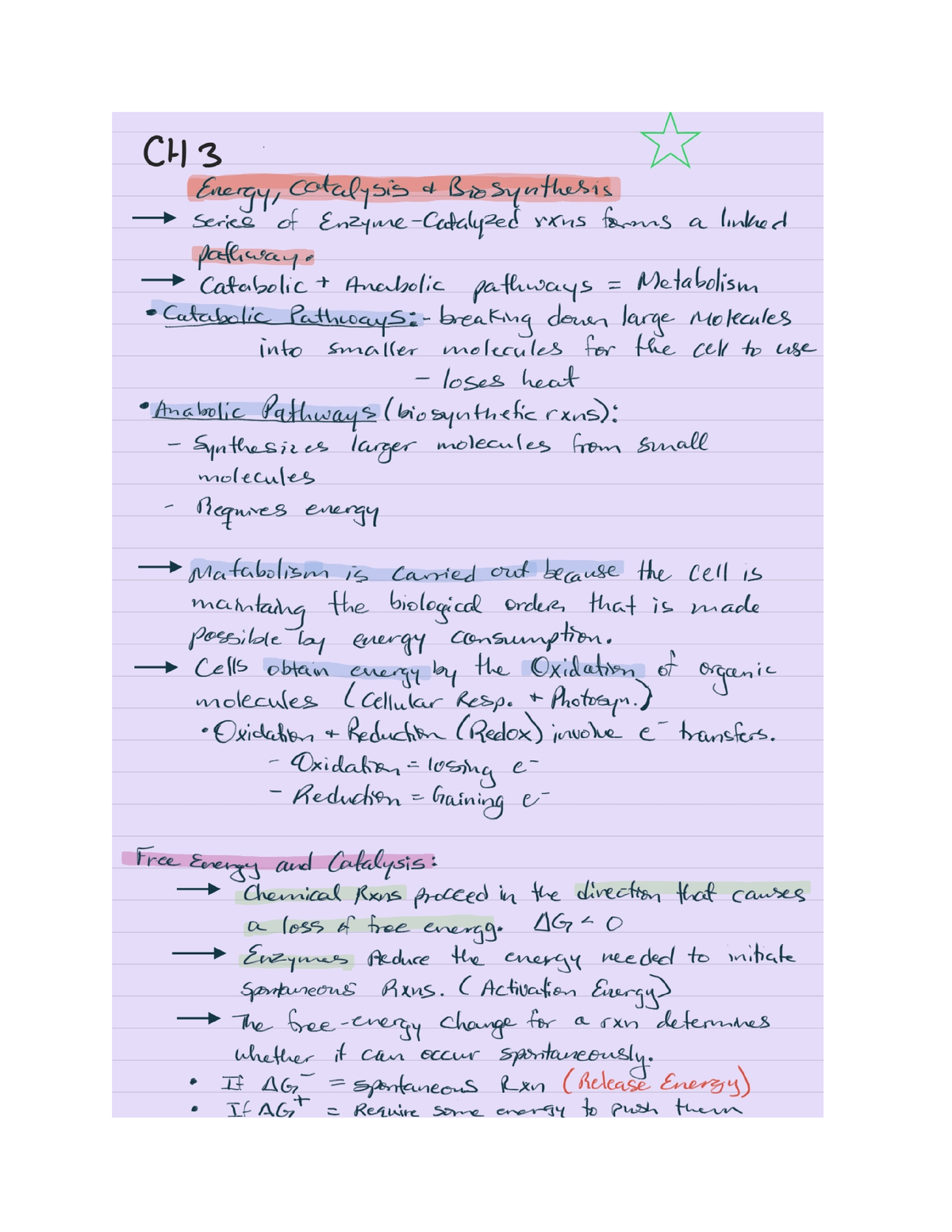 CH 3-Energy, J Catalysts And Biosynthesis - BIOL 491 - Studocu