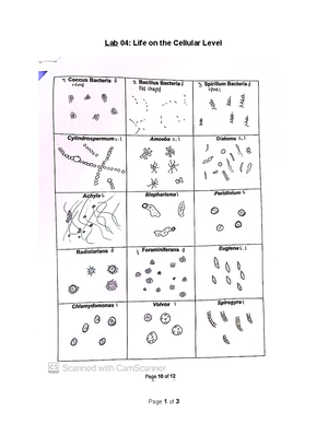 Mammalian Dive Response - Lab 9: Dive Response In this lab you will