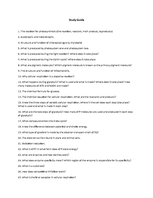 The Muscular System Writing Assignment - Muscles Worksheet Overview of ...