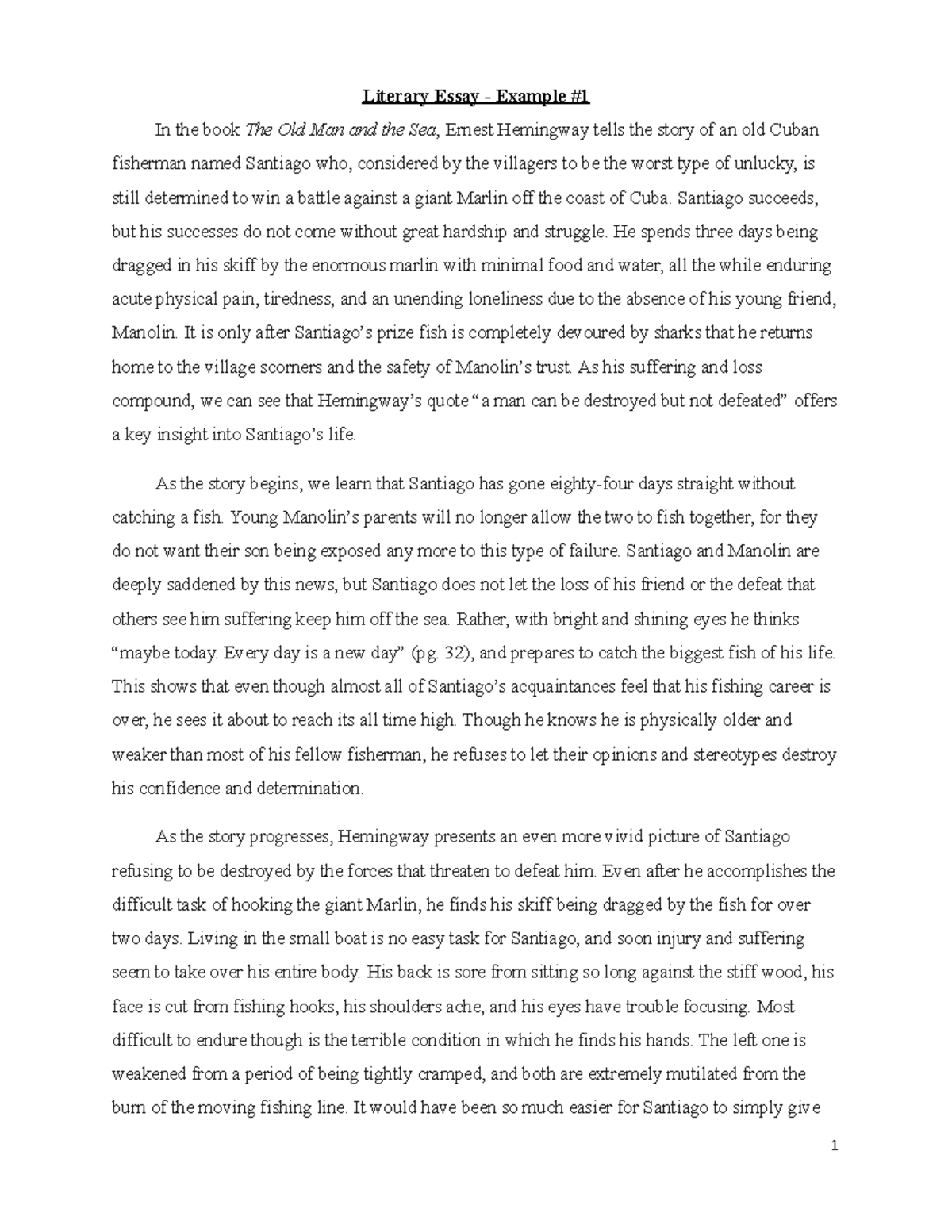 Analysis Literary Essay Immersion Packet Literary Essay Example