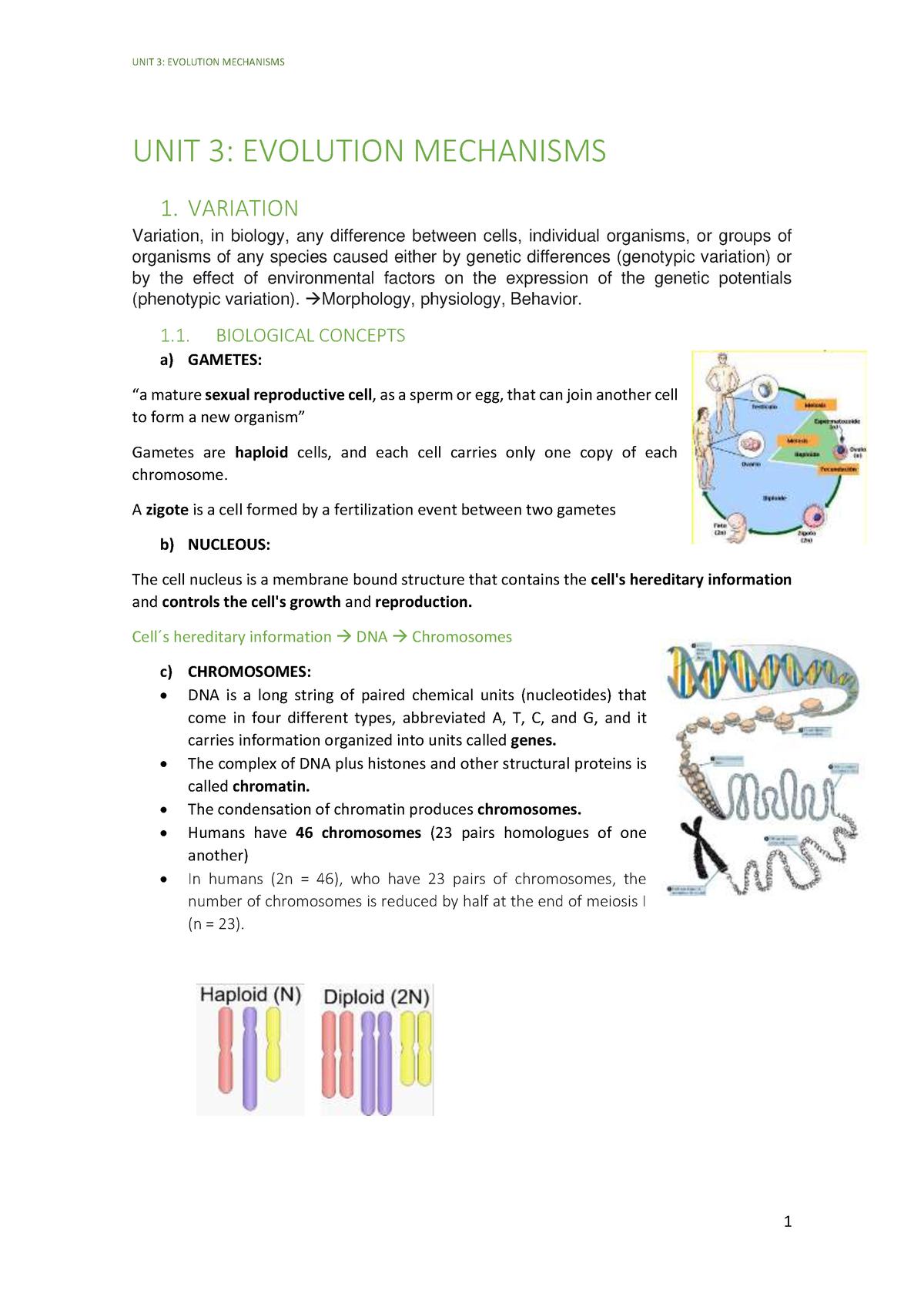 Biology Unit 3 Evolution Mechanisms - UNIT 3 : EVOLUTION MECHANISMS 1 ...