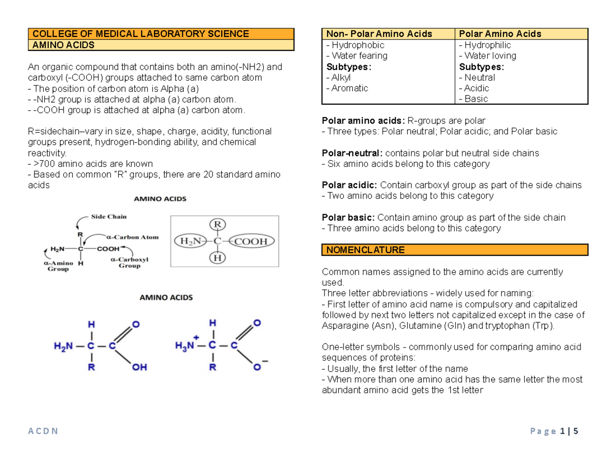 WEEK 4 Amino Acids Notes COLLEGE OF MEDICAL LABORATORY SCIENCE AMINO