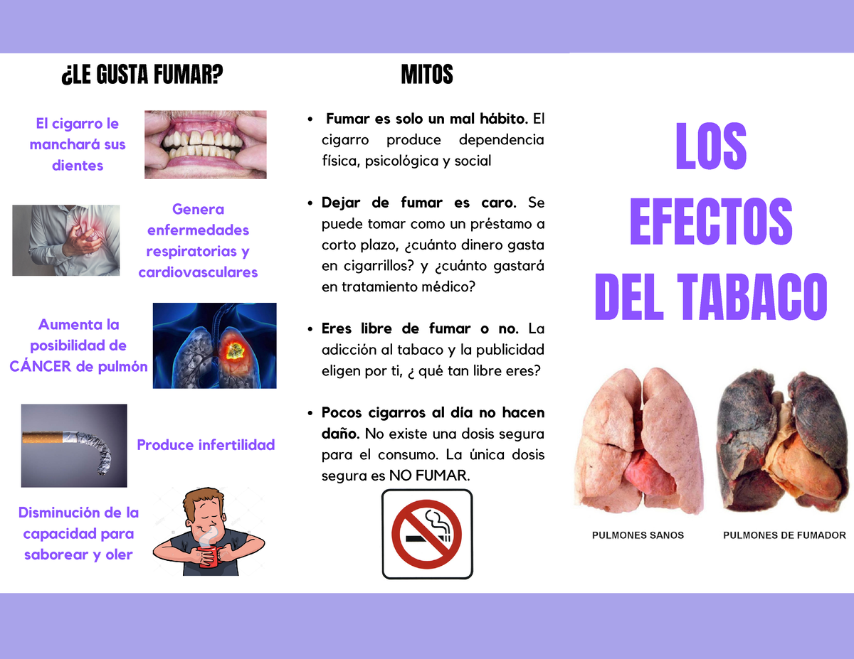 Triptico Los Efectos Del Tabaco Fumar Es Solo Un Mal Hábito El Cigarro Produce Dependencia 7166