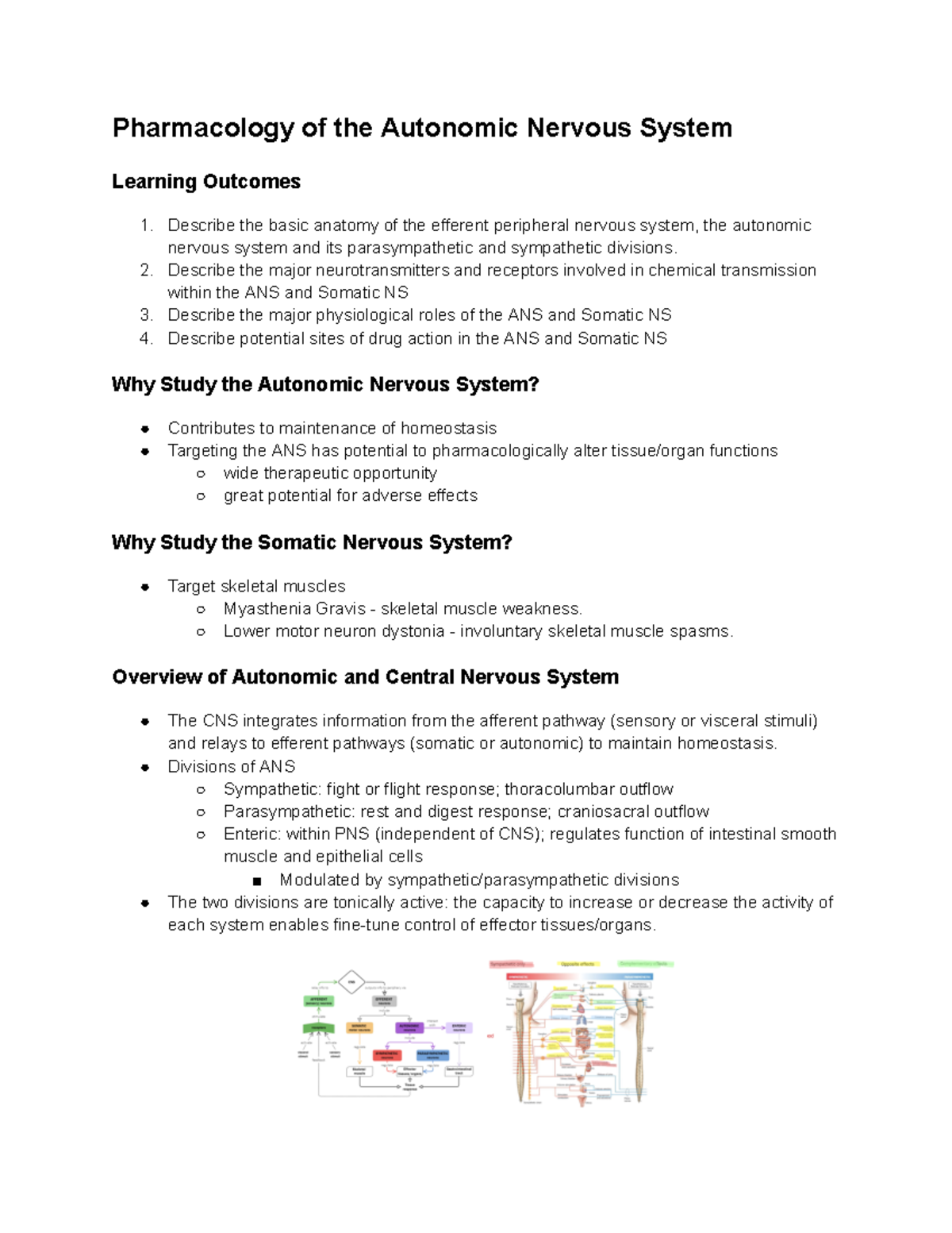 Pharmacology Notes - ANS - Pharmacology of the Autonomic Nervous System ...